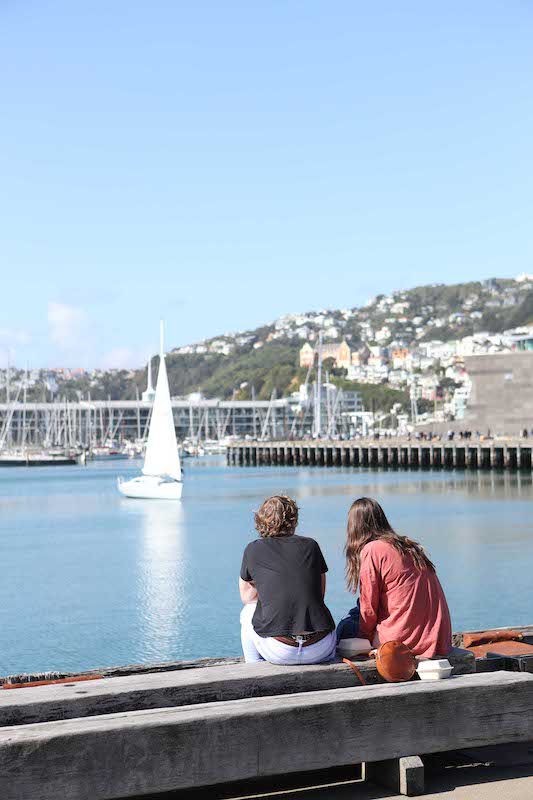 Best Places to Stay in wellington1