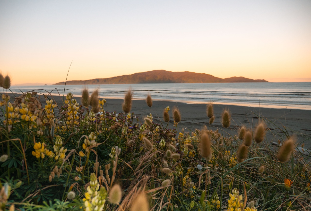 Kapiti Island