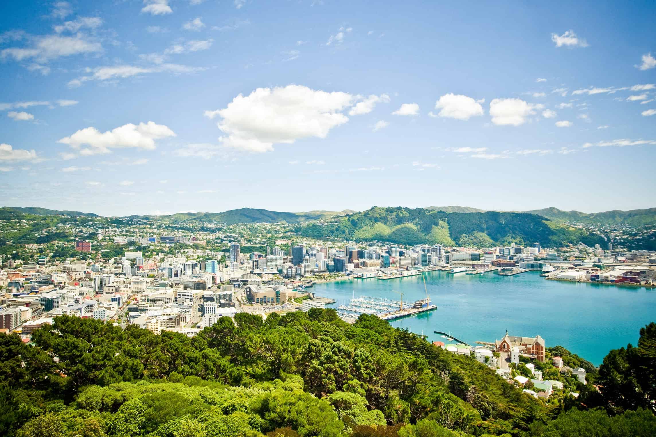 Top 10 things to do in Wellington