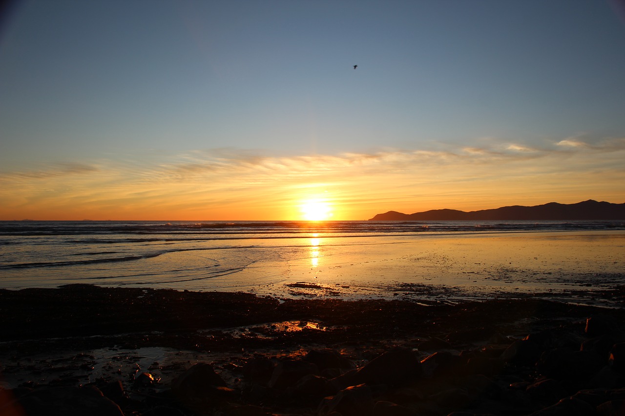 Kapiti Island