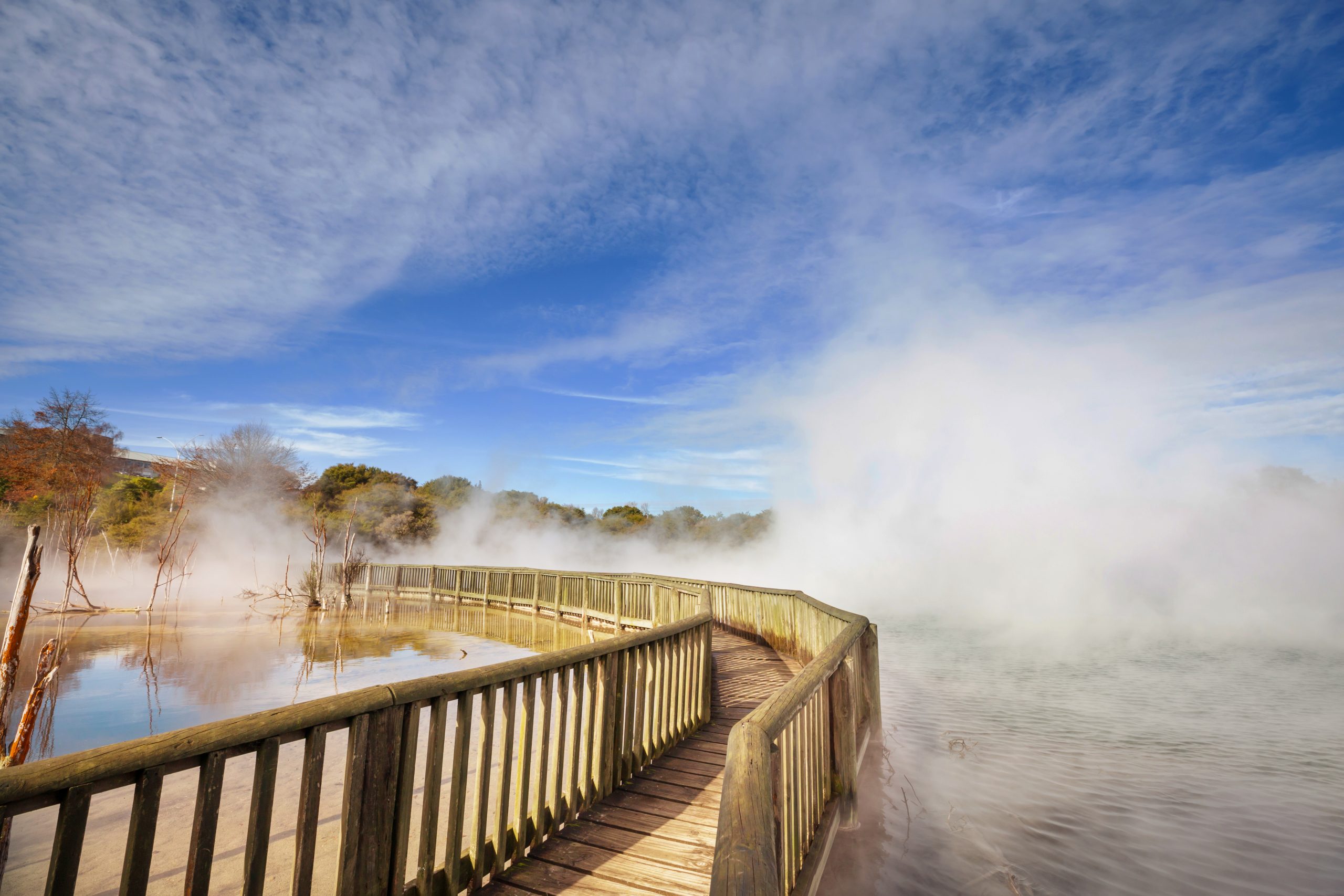 Rotorua, located on the North Island of New Zealand, is undeniably the most popular tourist destination in the country. The city is renowned for its bubbling mud pools, geysers, and hot springs, which attract thousands of visitors every year.